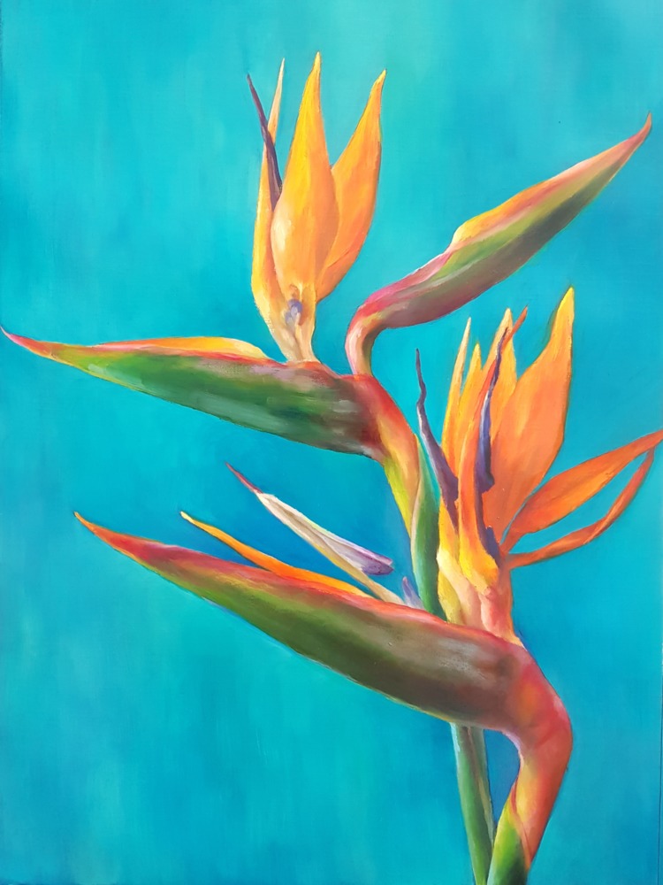 Bird of Paradise Turquoise' by Lauren Salm, Print on Canvas 22