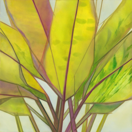 Kristie Kosmides 'Banana Leaf' 18“x18” Gallery Wrap Giclee on Canvas 2283-GW535 $535